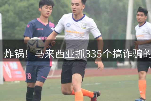 炸锅！马来西亚抓335个搞诈骗的，超九成来自中国，专骗中国人！